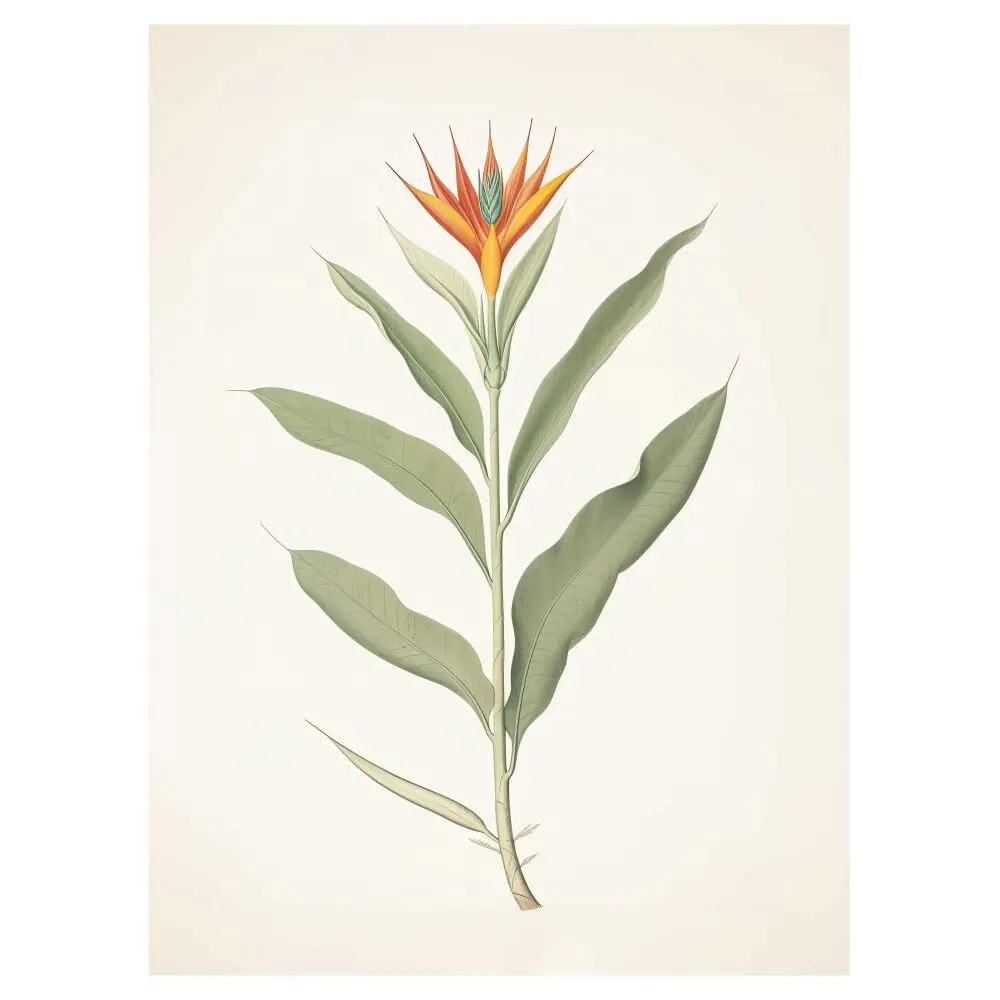 3760367933768 - Poster Encyclopedia 04