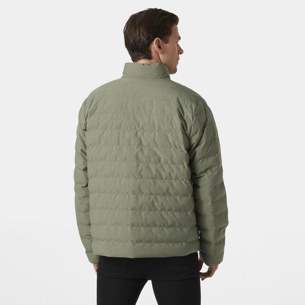 product/h/e/helly-hansen_54131-421_lav-green_4.jpg
