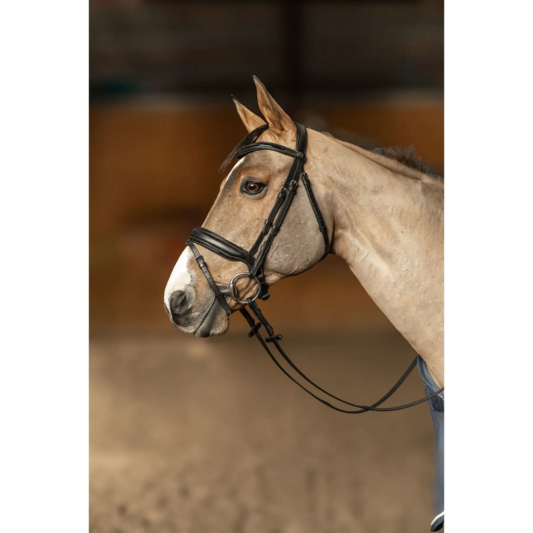 Hfi Noir Anatomical Riding Bridle Edges