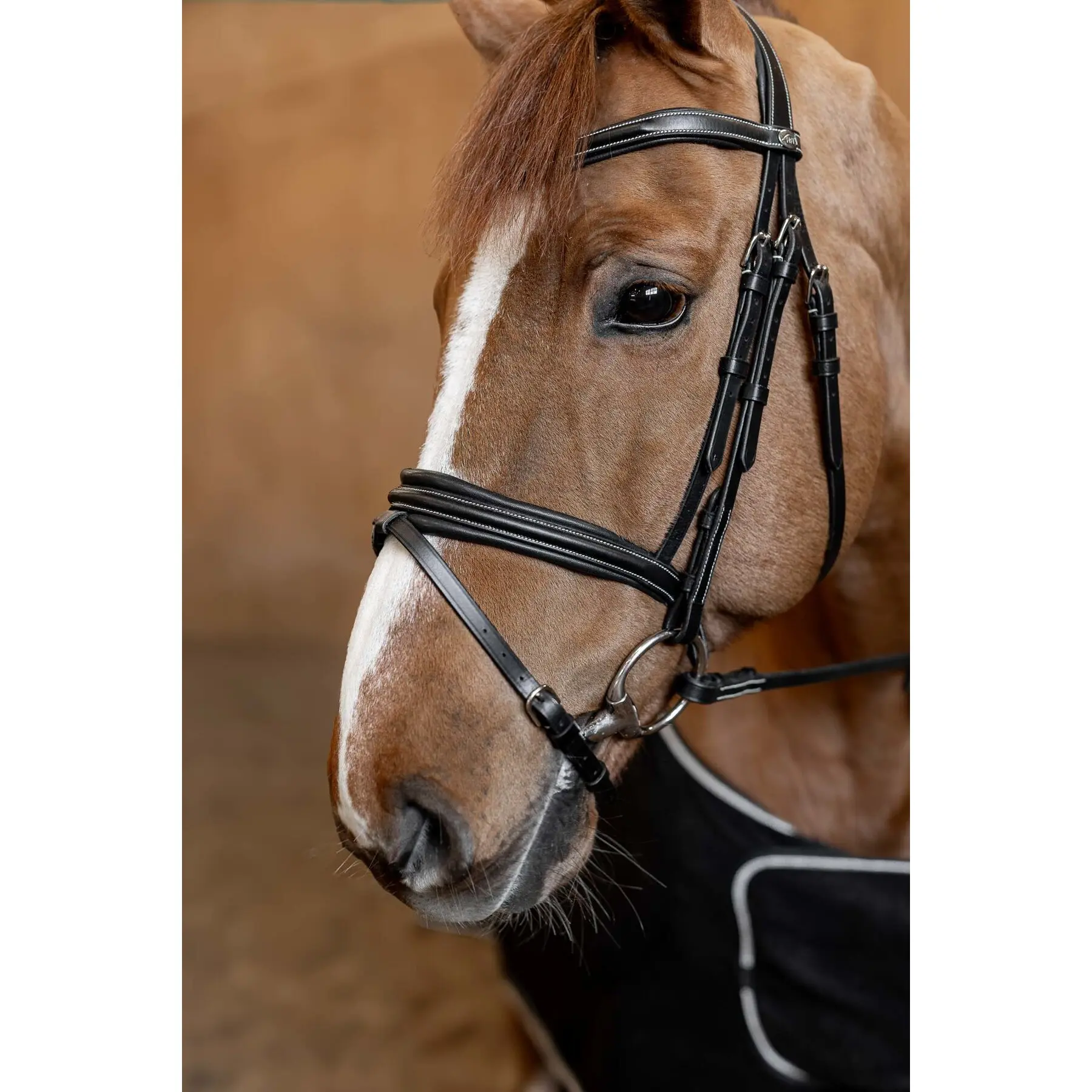 Hfi Noir Anatomical Riding Bridle Padded