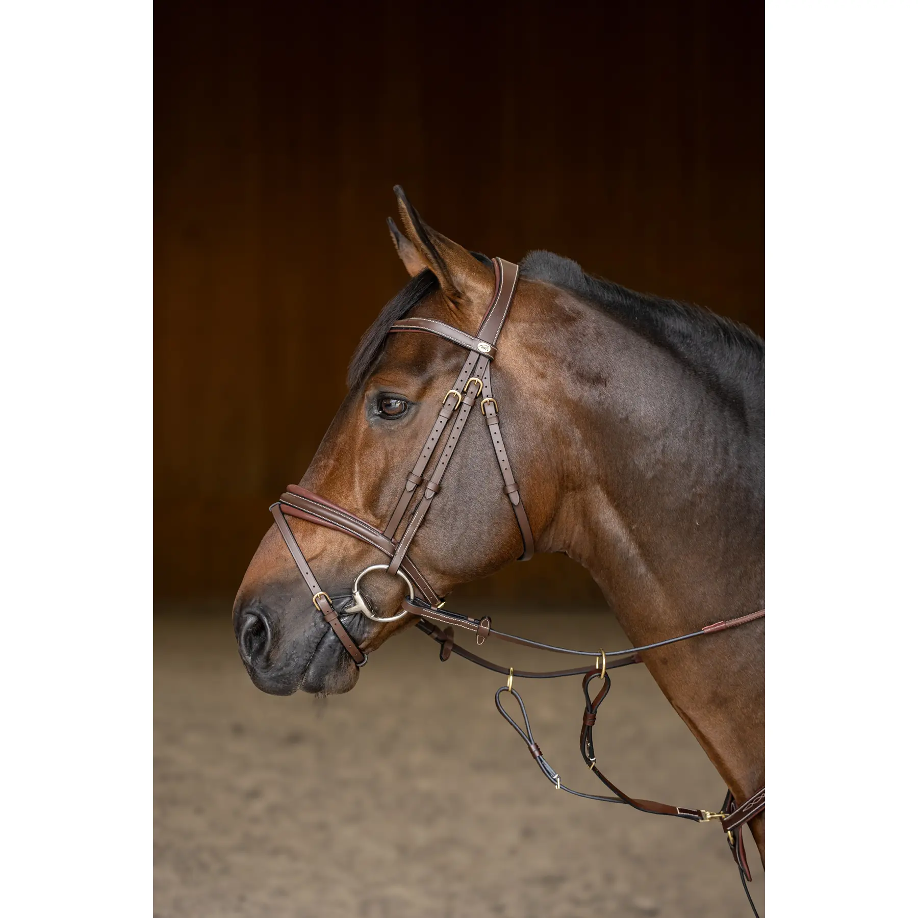 Hfi Marron Anatomical Riding Bridle Padded