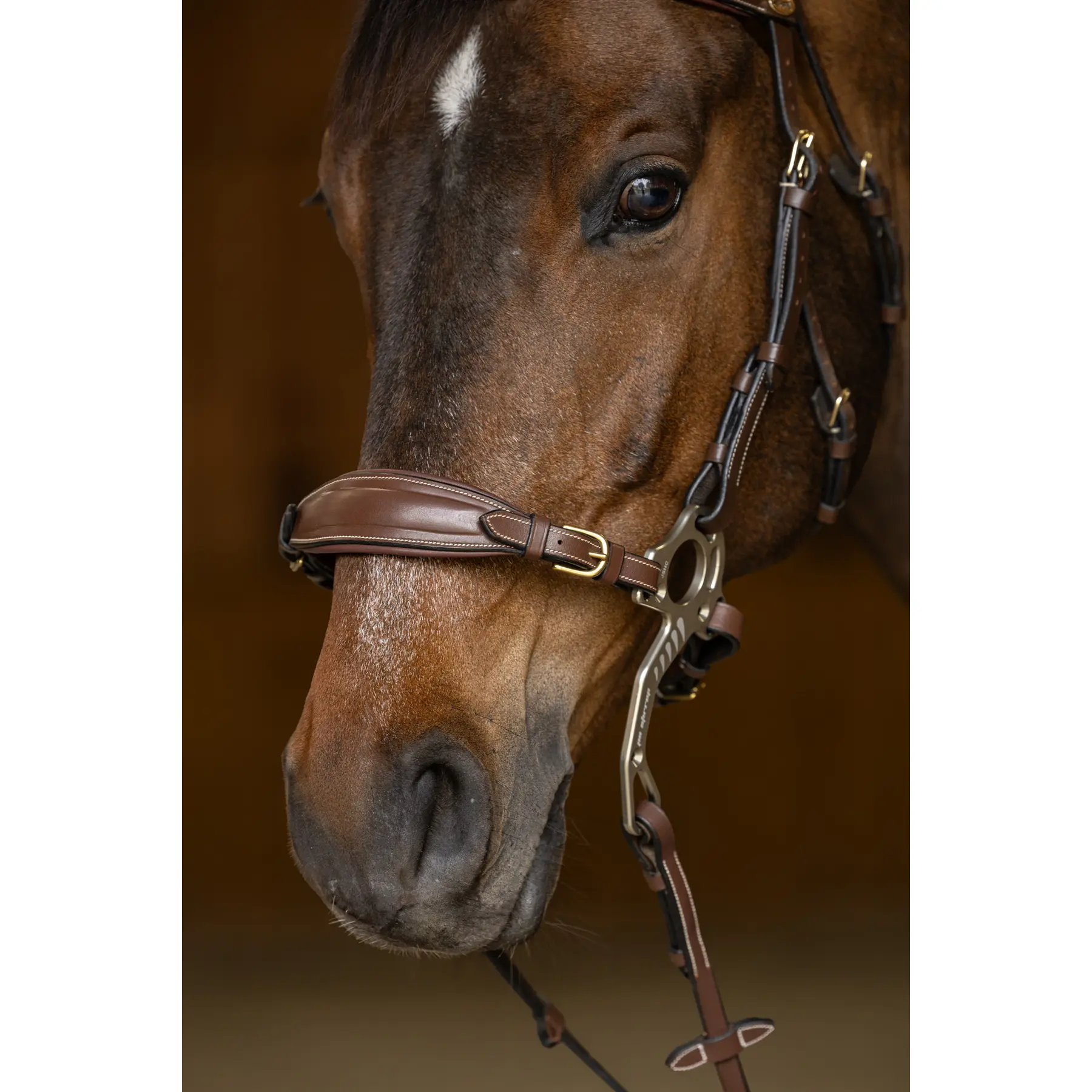 Hfi Marron Horse Muzzle And Chain Hackamore