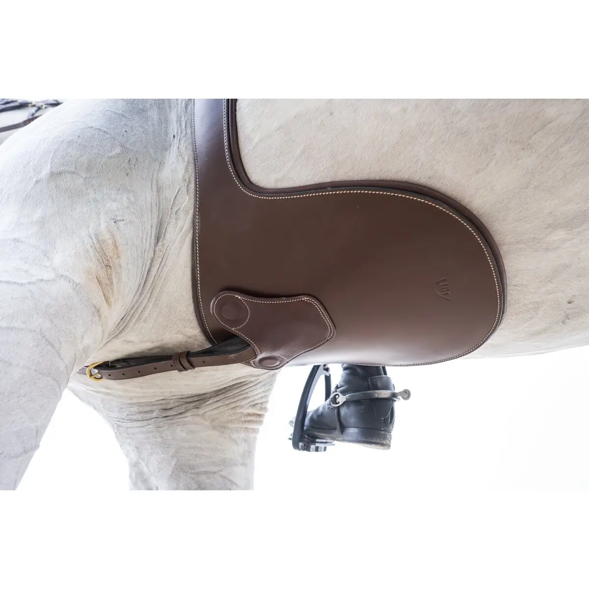 Sangle bavette d'équitation avec aimants HFI