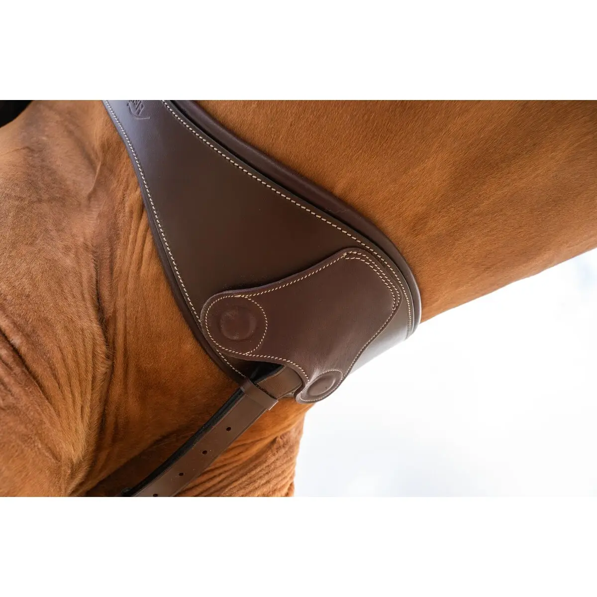 Sangle bavette d'équitation anatomique avec aimants HFI
