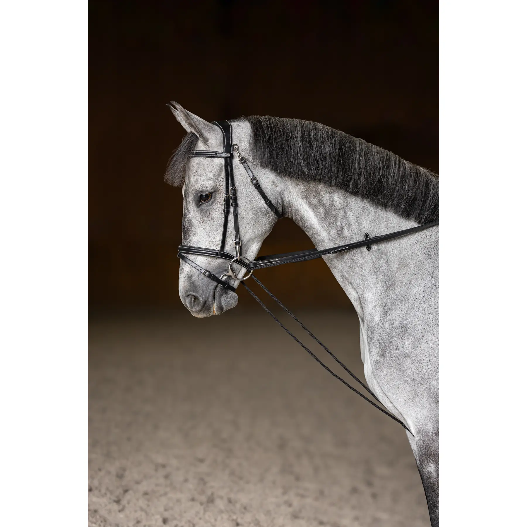 Hfi Noir German Leather Reins With Cord