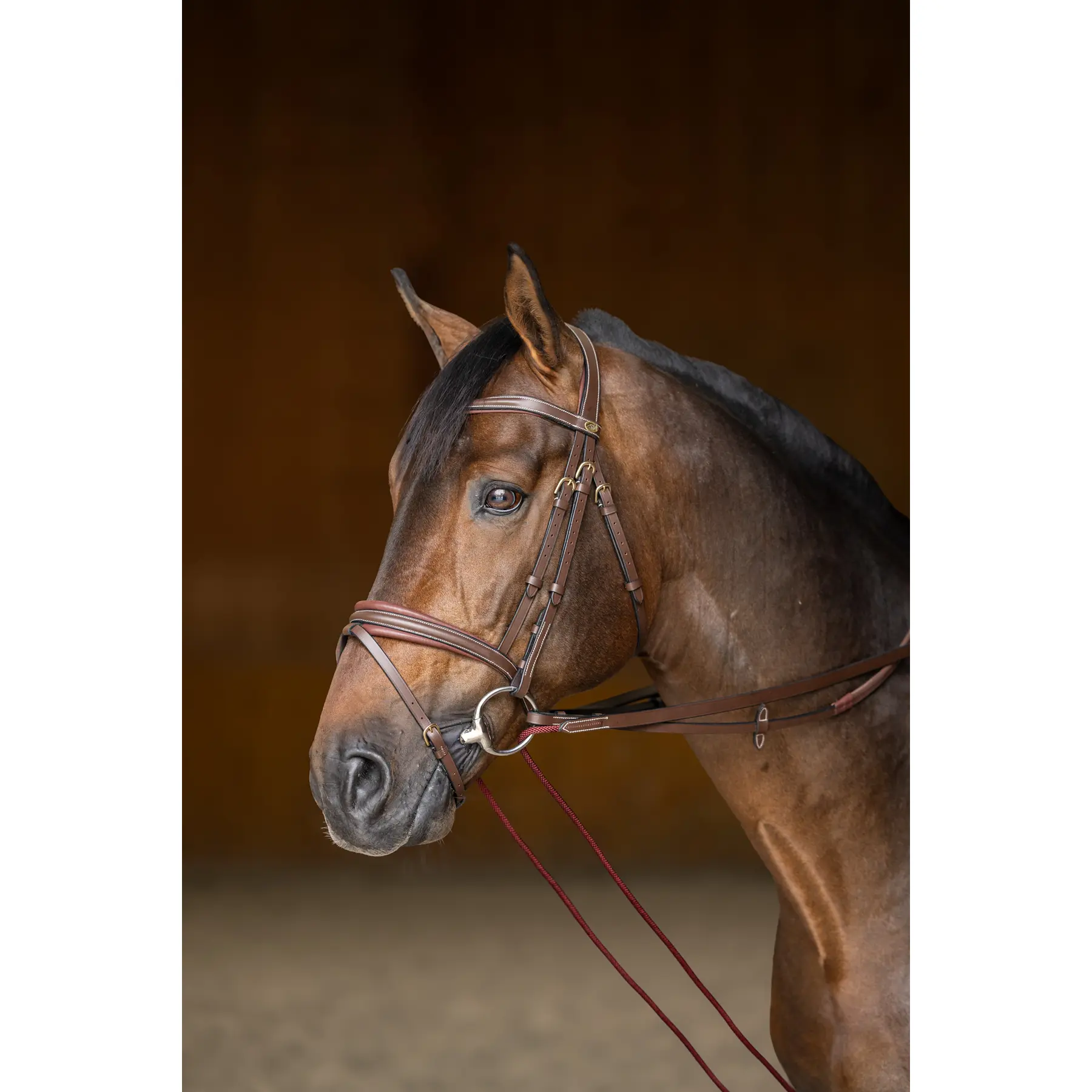 Hfi Marron German Leather Reins With Cord