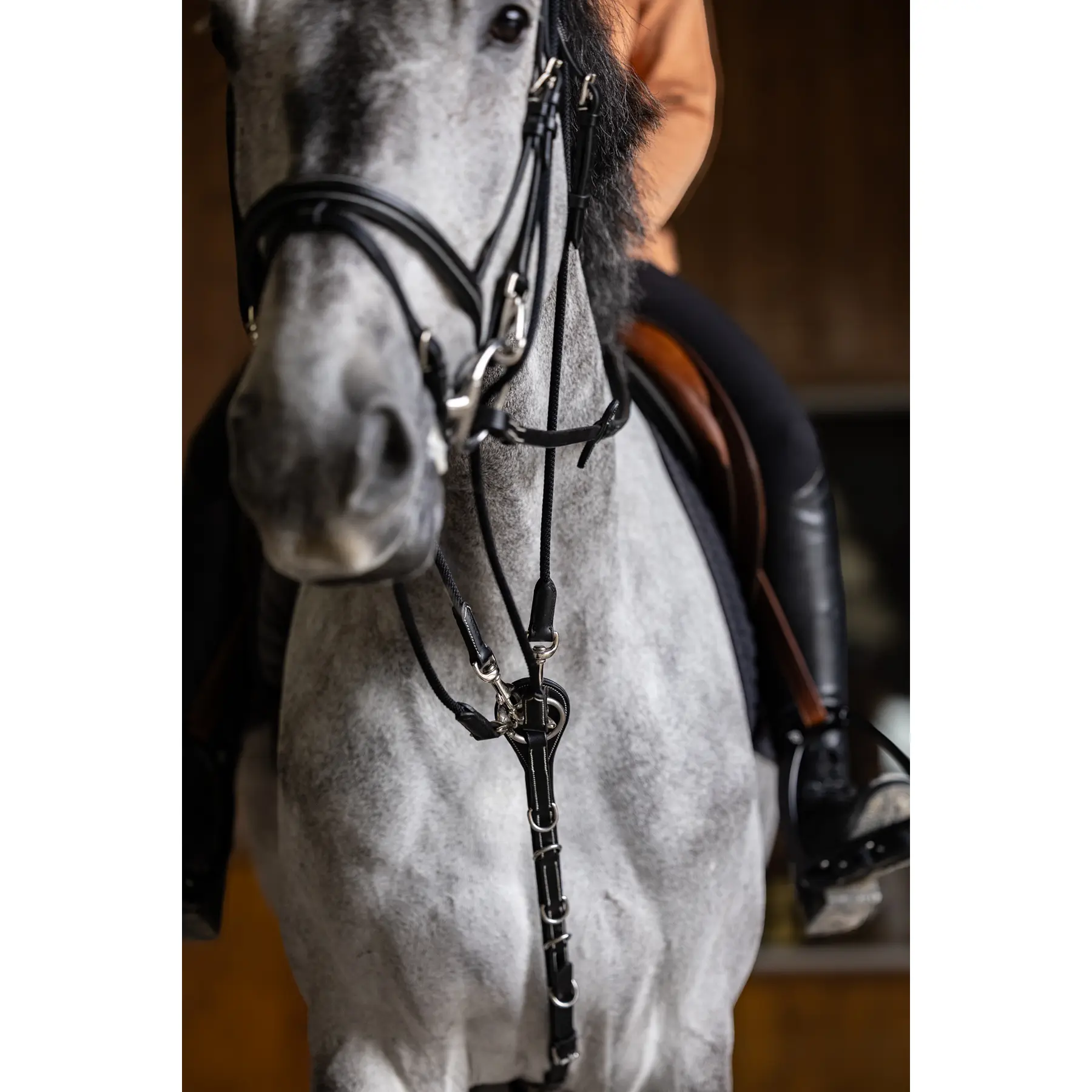 Hfi Noir Gogue For Horse