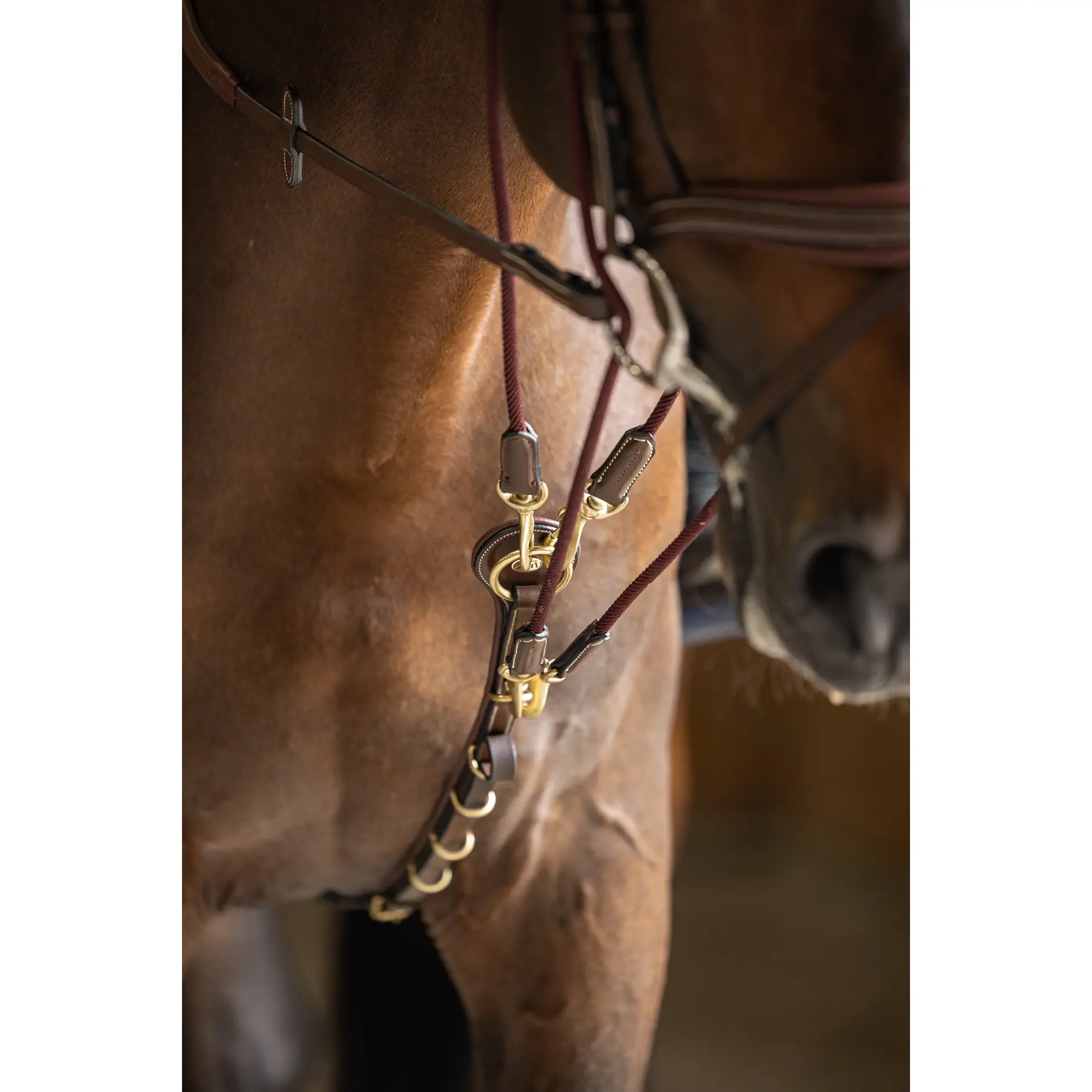 Hfi Marron Gogue For Horse