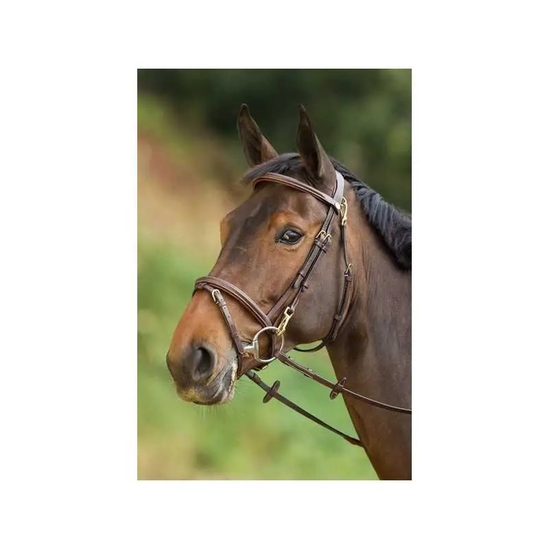 Hfi Marron Riding Bridles Functional