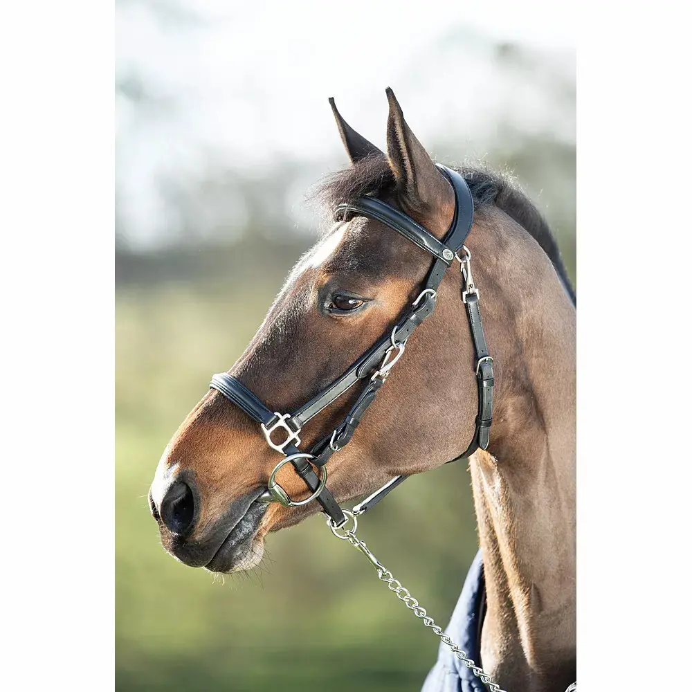 Comparer les prix de Bridons équitation HFI Combo