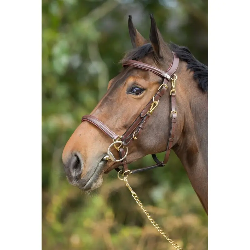 Hfi Marron Riding Bridles Combo