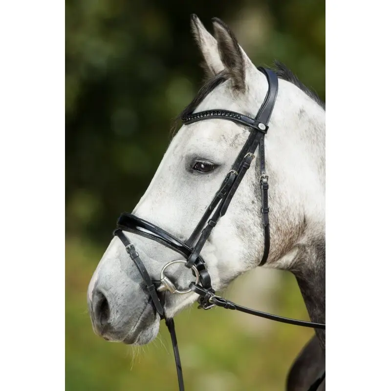 Bridons équitation HFI Luxe
