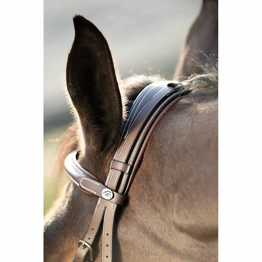 Hfi Marron Riding Bridles Technical