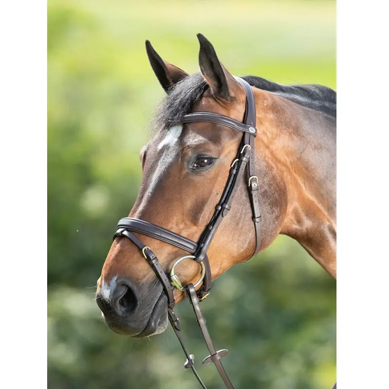 Zaumzeug Reiten HFI Soft