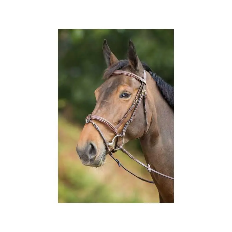 Hfi Marron Riding Bridles Anatomic