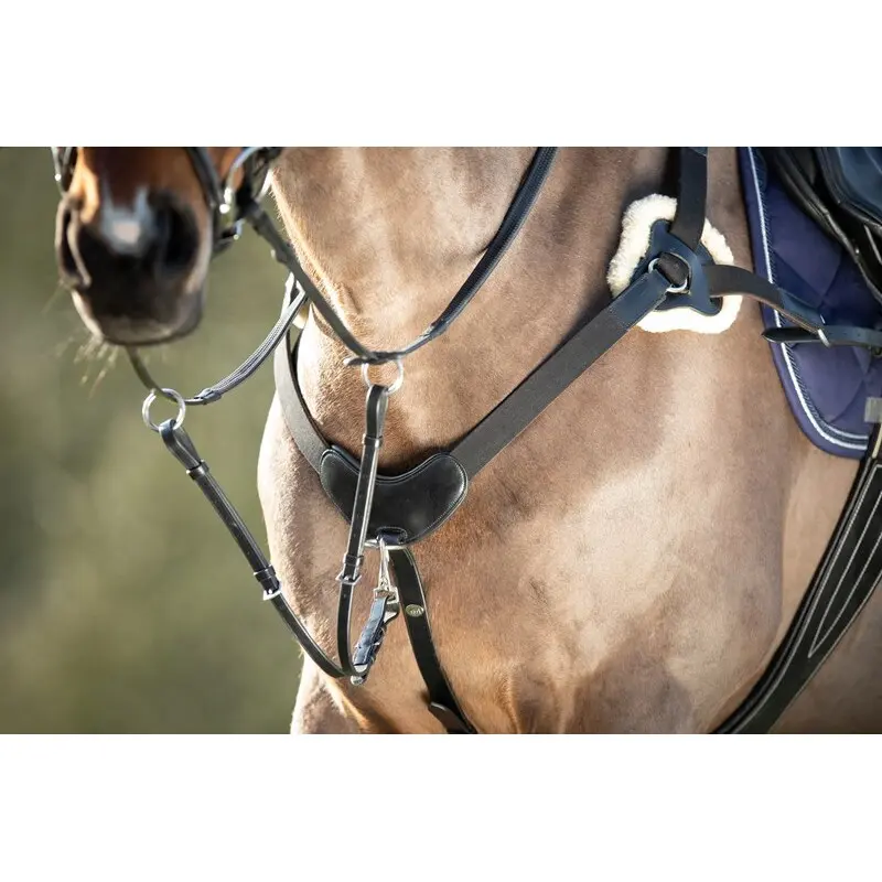 Collier de chasse pour cheval HFI 5 Points