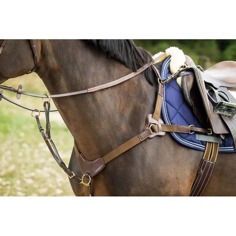 Comparer les prix de Collier de chasse pour cheval HFI 5 Points