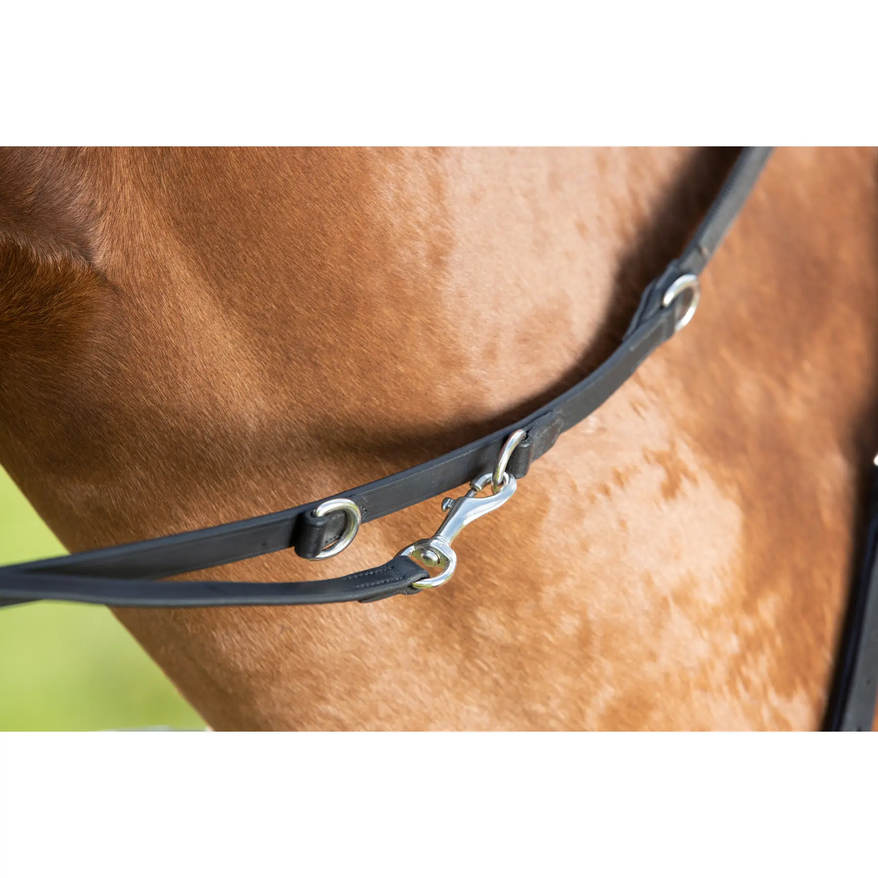 Hfi Noir Horse Reins Thiedeman