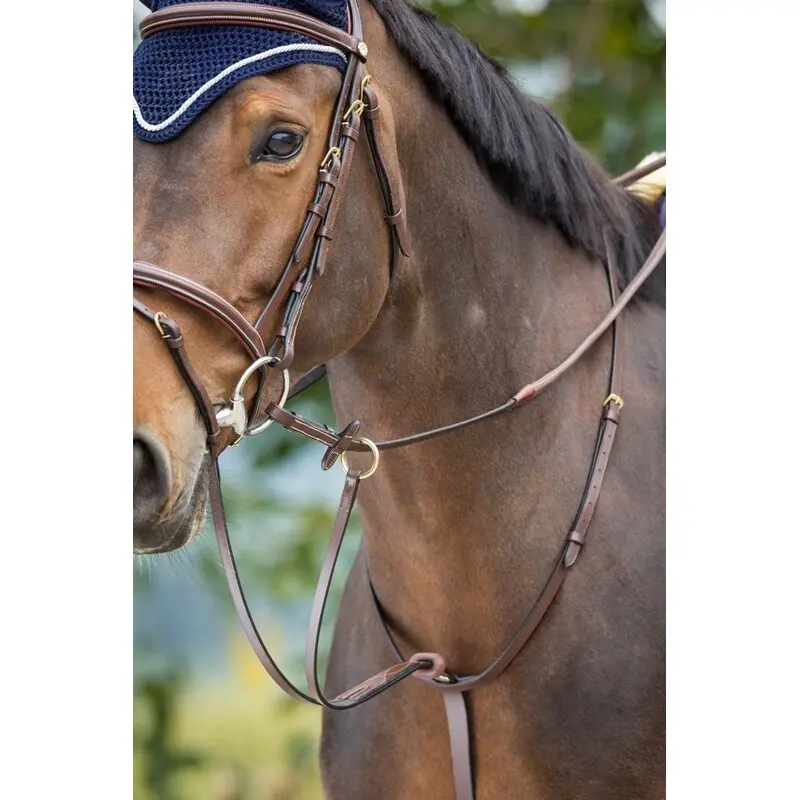 Hfi Marron Martingale Arrow