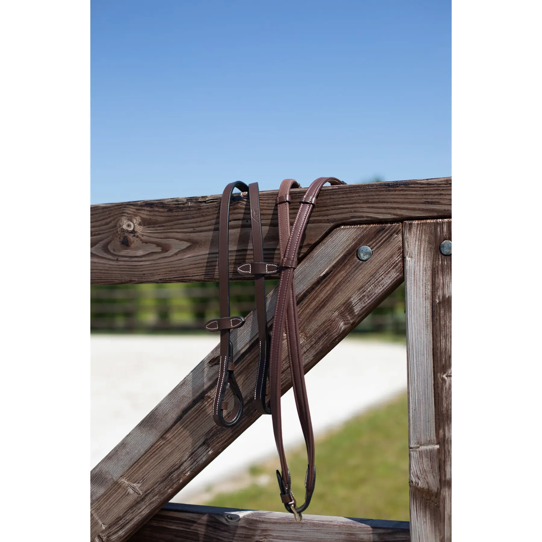 Meilleurs prix pour Rênes de chasseur pour cheval HFI