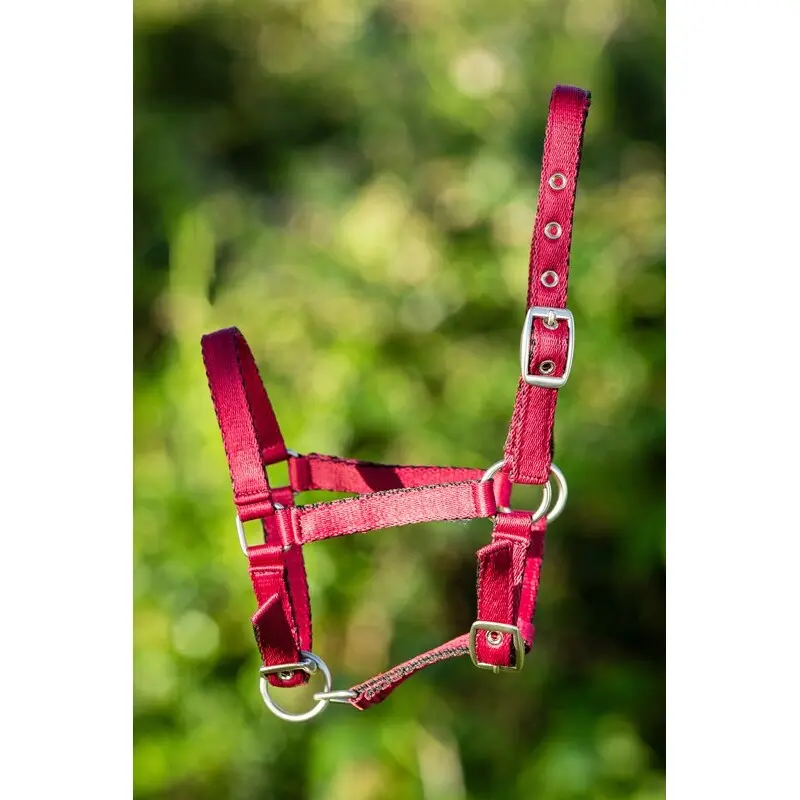 Licol en nylon doux pour cheval HFI