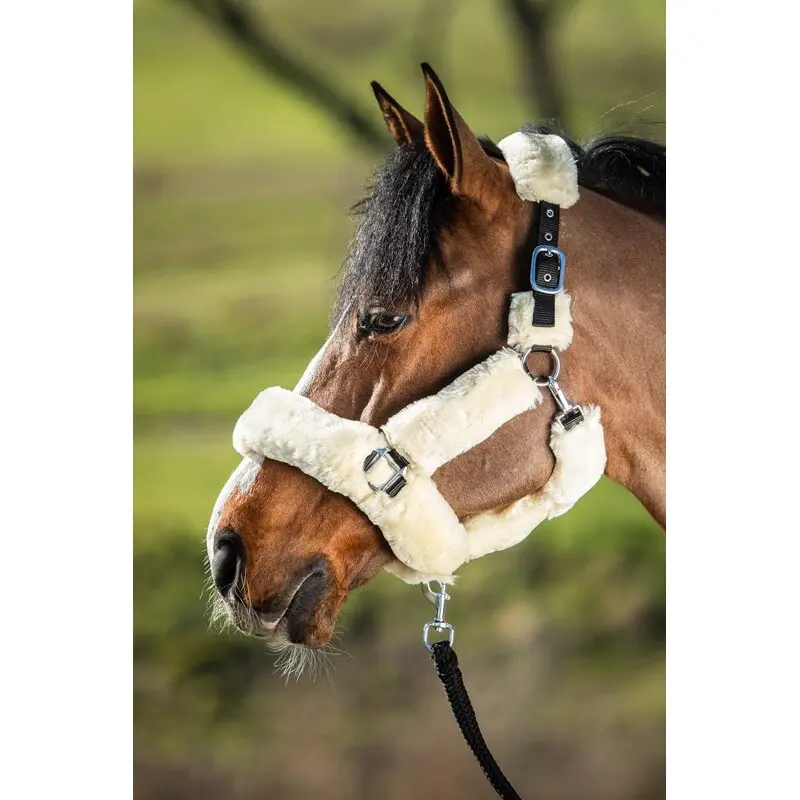 Fourreau pour licol mouton synthetique HFI Cosy