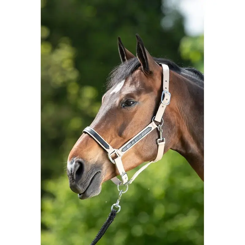 Hfi Beige Halter For Horse First