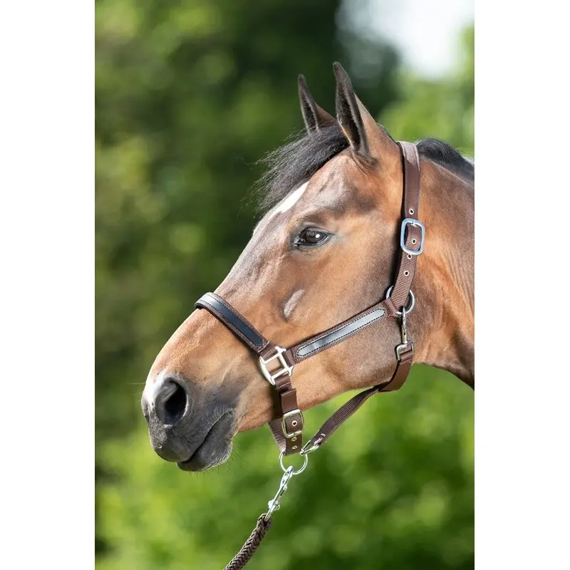 Hfi Marron Halter For Horse First