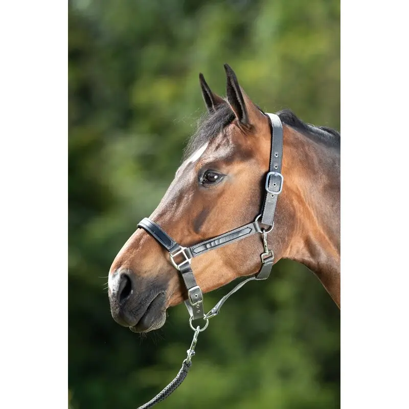 Hfi Gris Halter For Horse First