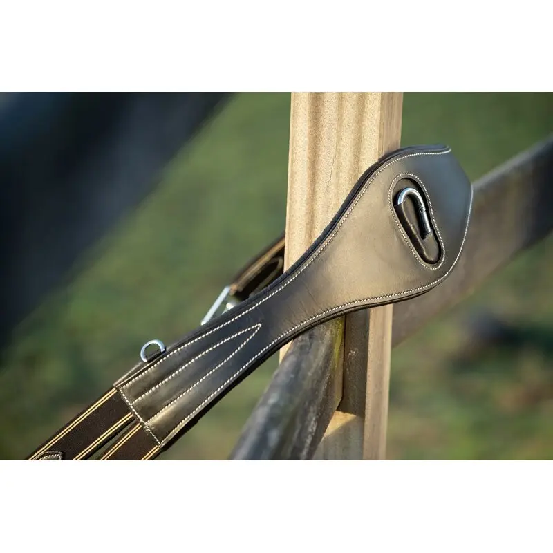 Sangle anatomique pour cheval + mousqueton HFI