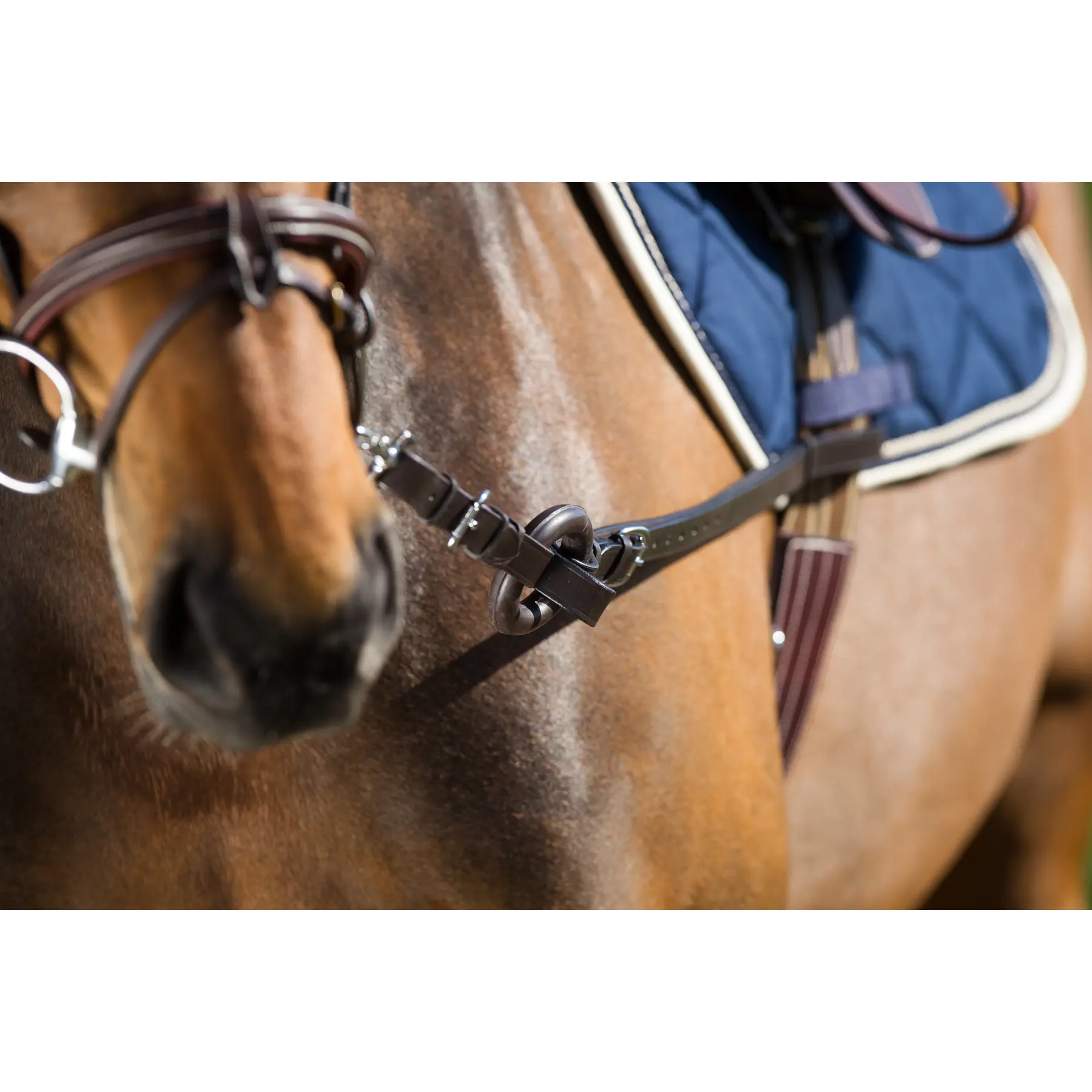 Hfi Marron Horse Reins Ring