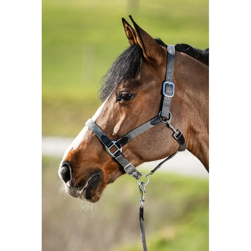 Hfi Gris Halter For Horse With Reins In Nylon Neoprene Smart
