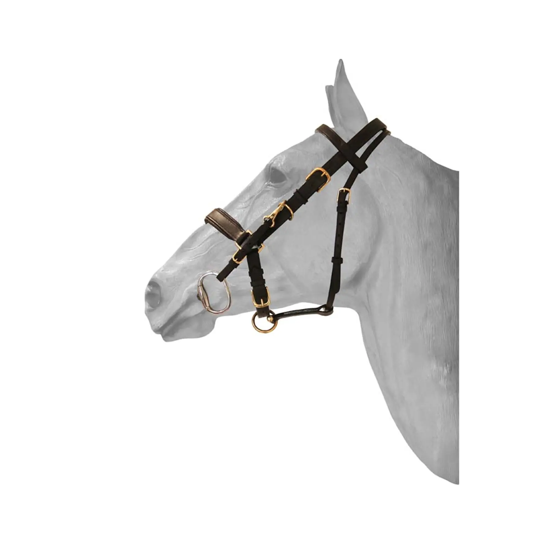 Bridon équitation muserolle combinée cuir anatomique HFI