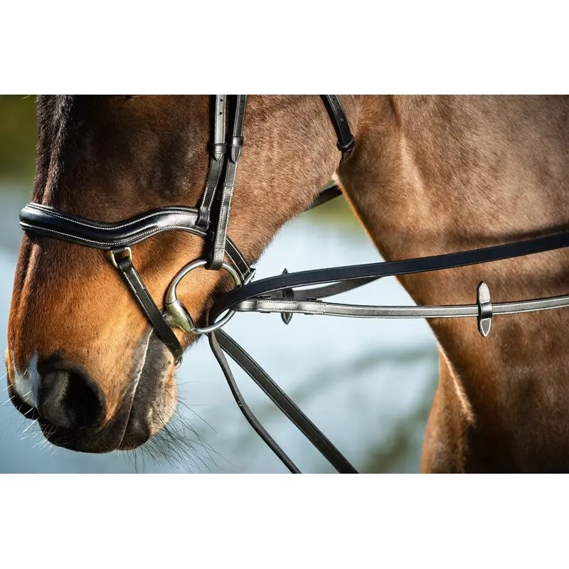 Hfi Noir Horse Reins