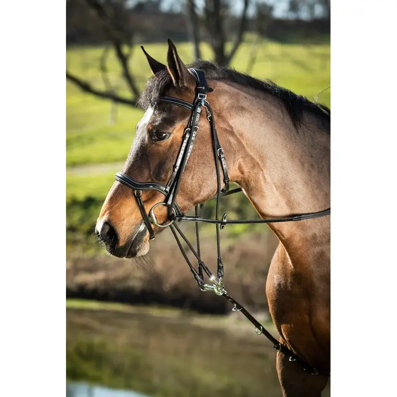 Hfi Noir Gogue For Horse