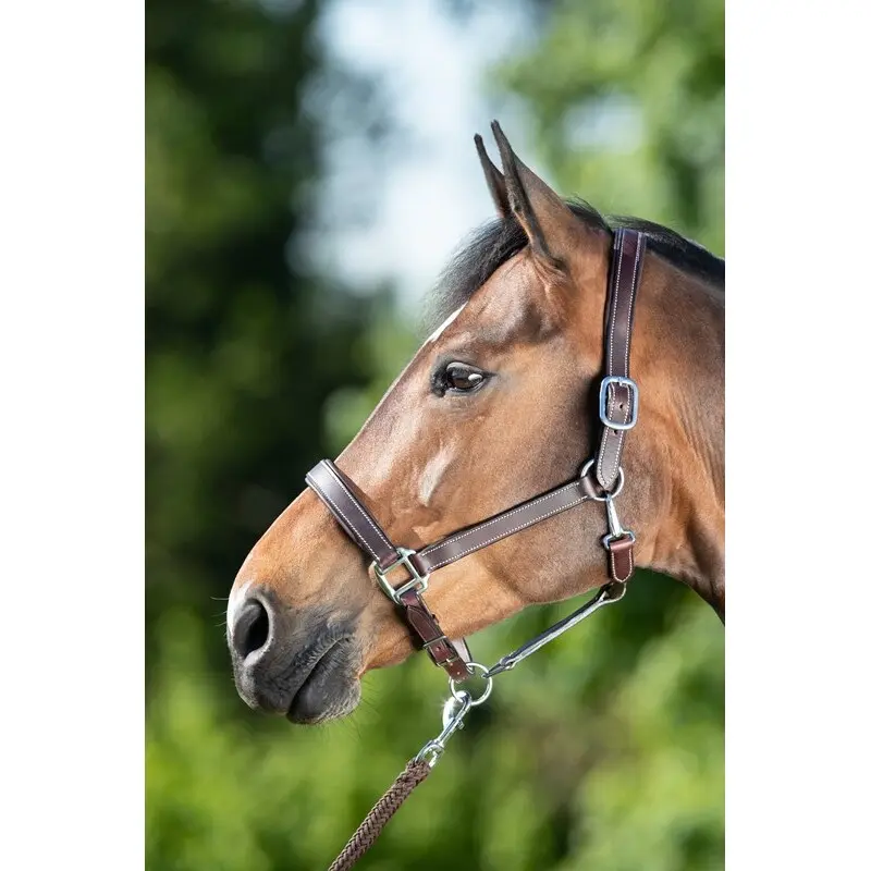 Hfi Marron Halter For Horse Flat
