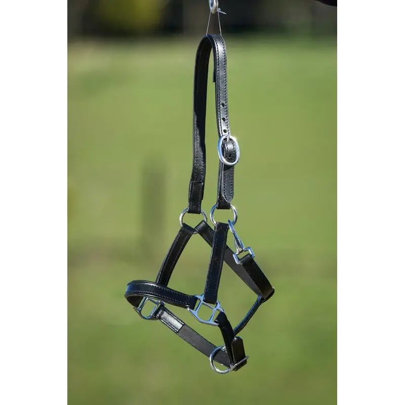 Hfi Noir Lined Leather Halter For Horse