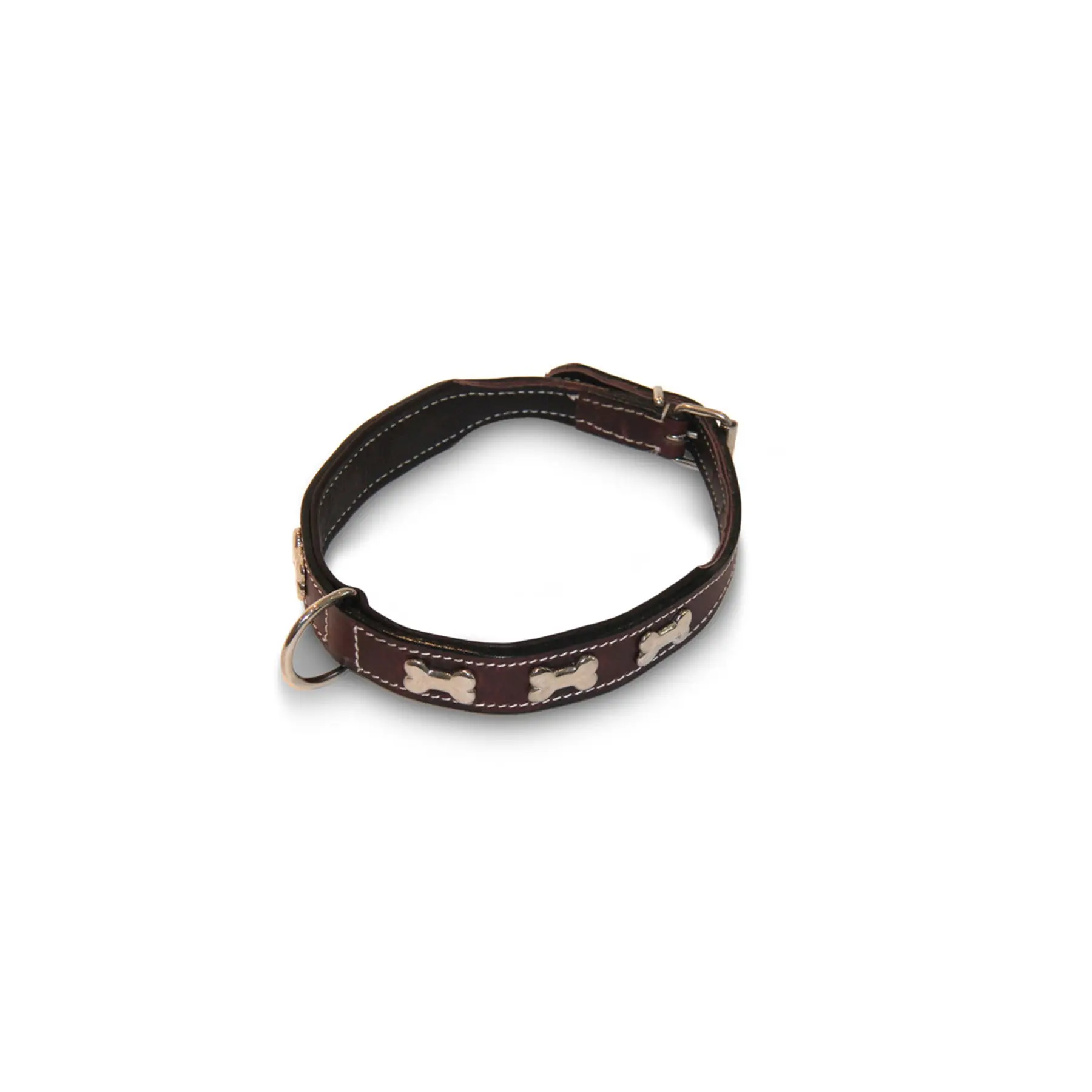 Collier plat pour chien avec os HFI