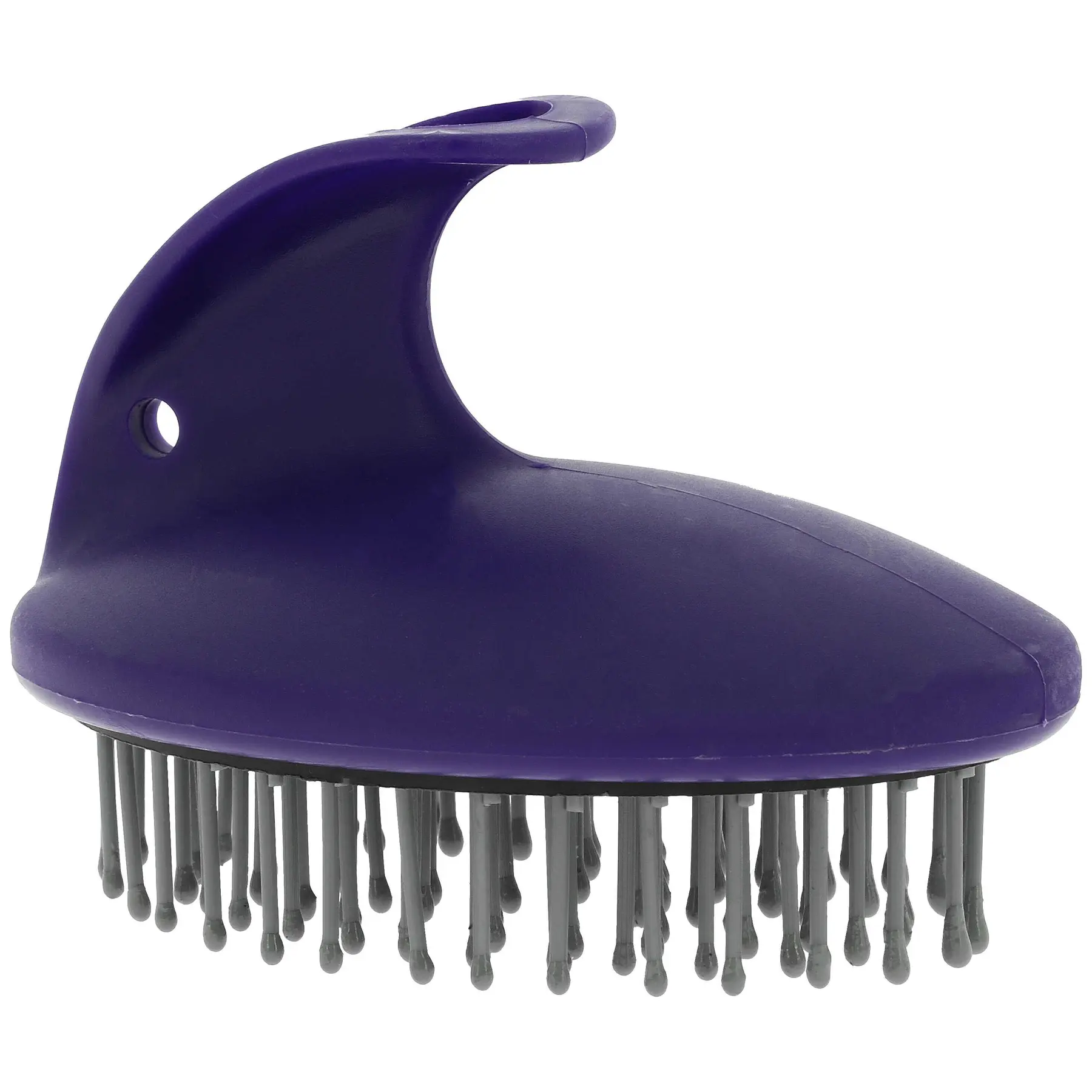 Comparer les prix de Brosse de massage à poils durs Hippotonic