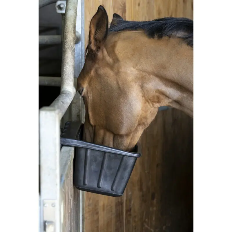 Meilleurs prix pour Mangeoire cheval en caoutchouc Hippotonic