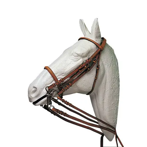 Licol pour cheval anglaise Hispano Hipica