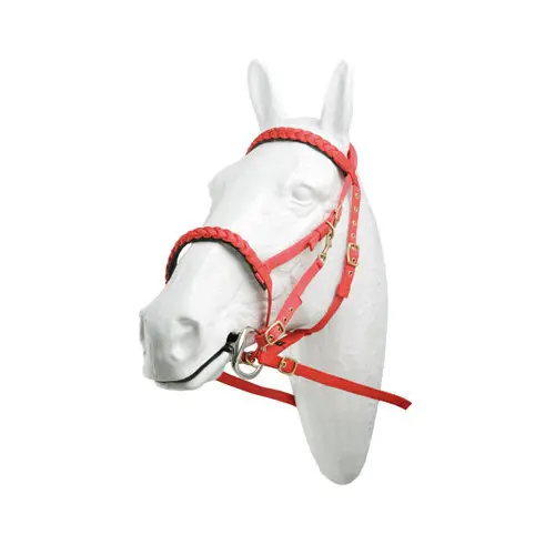 Licol pour cheval caoutchouc Hispano Hipica