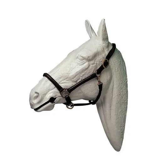 Meilleurs prix pour Licol pour cheva cuirl Hispano Hipica