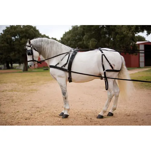 Harnais d'attélage cheval nylon Hispano Hipica Hagen