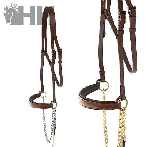 Meilleurs prix pour Bridon d'équitation en cuir avec chaîne Hispano Hipica Eco