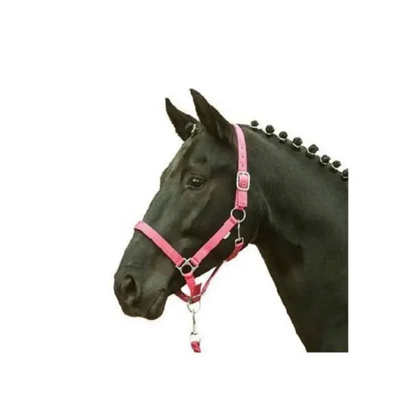 Nylon paardenhalster Hispano Hipica