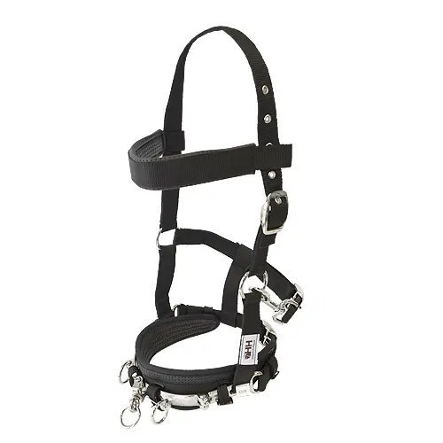 Meilleurs prix pour Licol pour cheval anglaise nylon Hispano Hipica