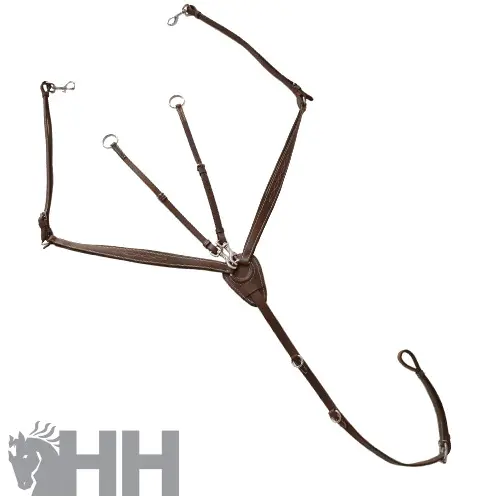 Meilleurs prix pour Collier de chasse pour cheval Hispano Hipica