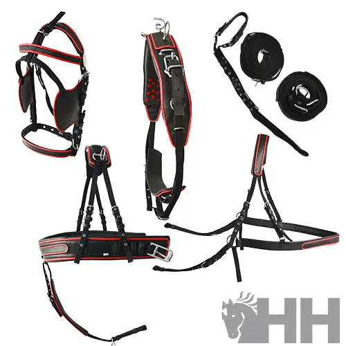 Comparer les prix de Harnais d'attélage cheval Hispano Hipica