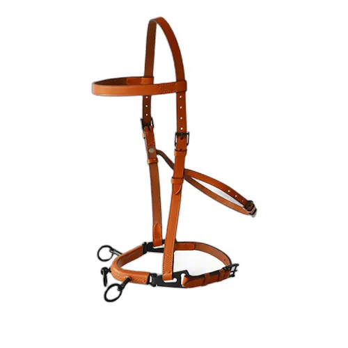 Meilleurs prix pour Bridon équitation en cuir Hispano Hipica